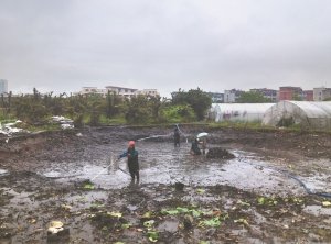 隰县河道鱼塘清淤